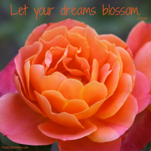 Let your dreams blossom.