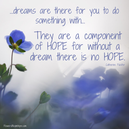 …dreams are there for you to do something with... they are a component of HOPE for without a dream there is no HOPE.