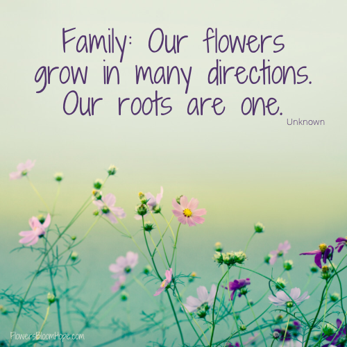 Family: Our flowers grow in many directions. Our roots are one.