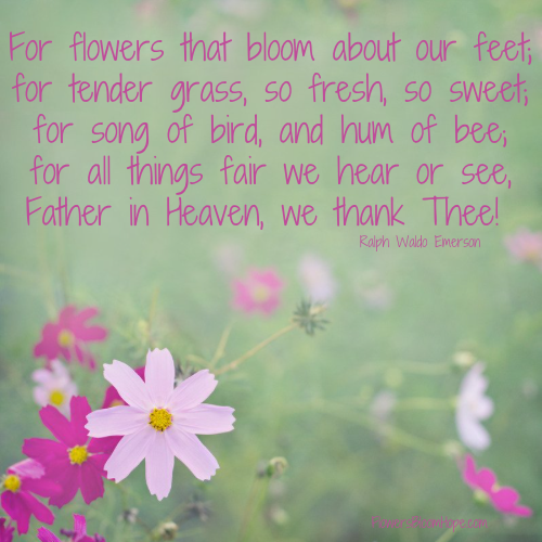 For flowers that bloom about our feet; for tender grass, so fresh, so sweet; for song of bird, and hum of bee; for all things fair we hear or see, Father in Heaven, we thank Thee!