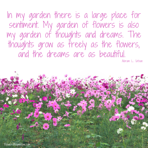 In my garden there is a large place for sentiment. My garden of flowers is also my garden of thoughts and dreams. The thoughts grow as freely as the flowers, and the dreams are as beautiful.