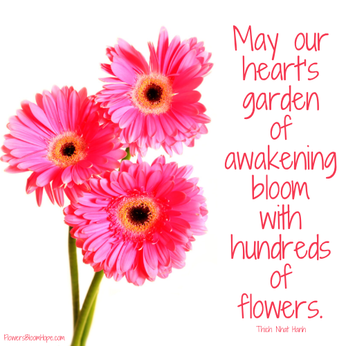 May our heart’s garden of awakening bloom with hundreds of flowers