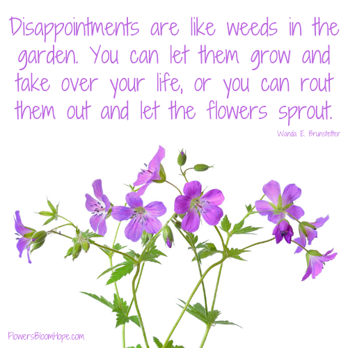 Disappointments are like weeds in the garden. You can let them grow and take over your life, or you can rout them out and let the flowers sprout.
