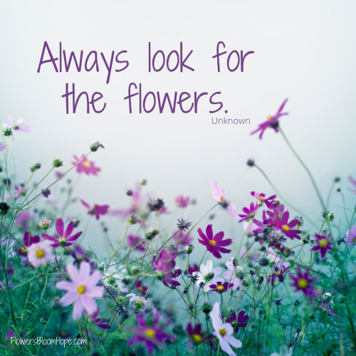 Always look for flowers.