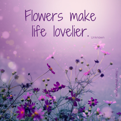 Flowers make life lovelier.