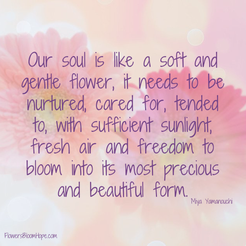 Our soul is like a soft and gentle flower, it needs to be nurtured, cared for, tended to, with sufficient sunlight, fresh air and freedom to bloom into its most precious and beautiful form.