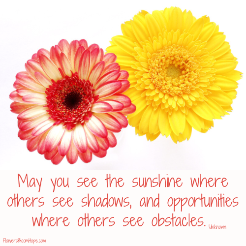May you see the sunshine where others see shadows, and opportunities where others see obstacles.