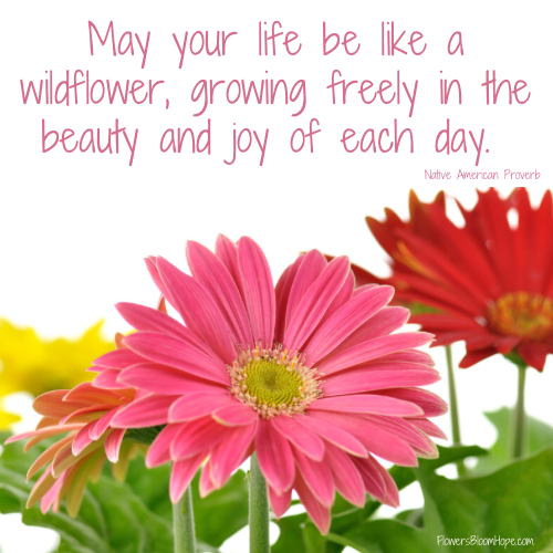 May your life be like a wildflower, growing freely in the beauty and joy of each day.