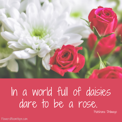 In a world full of daisies dare to be a rose.