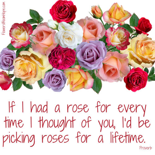 If I had a rose for every time I thought of you, I’d be picking roses for a lifetime.