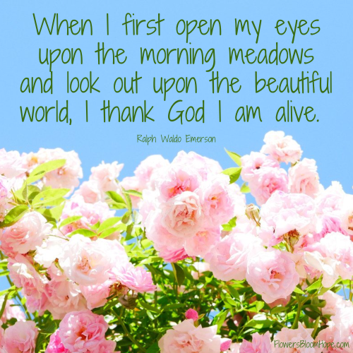 When I first open my eyes upon the morning meadows and look out upon the beautiful world, I thank God I am alive.