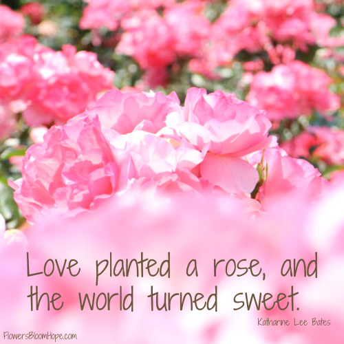 Love planted a rose, and the world turned sweet.