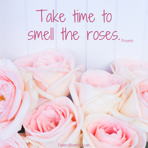 Take time to smell the roses.