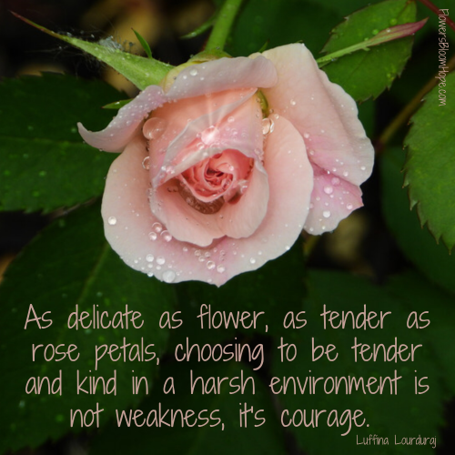 As delicate as flower, as tender as rose petals, choosing to be tender and kind in a harsh environment is not weakness, it's courage.
