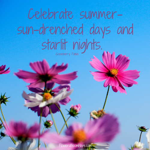 Celebrate summer – sun-drenched days and starlit nights.