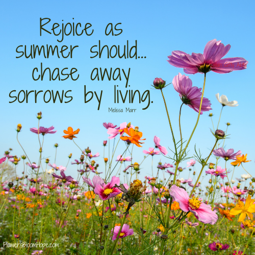 Rejoice as summer should…chase away sorrows by living.