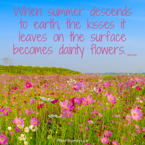 When summer descends to earth, the kisses it leaves on the surface becomes dainty flowers.