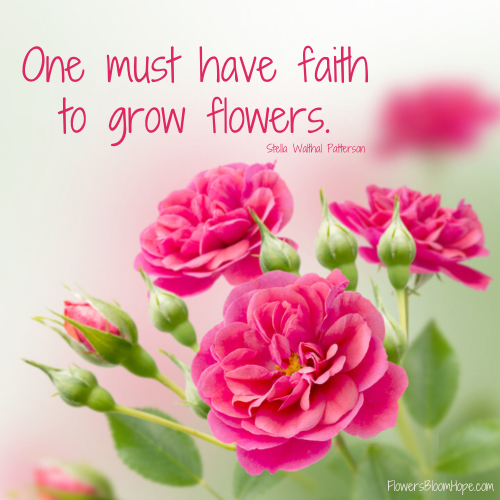 One must have faith to grow flowers.