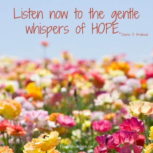 Listen now to the gentle whispers of HOPE.