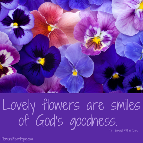 Lovely flowers are smiles of God’s goodness.