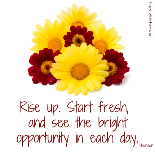 Rise up. Start fresh, and see the bright opportunity in each day.