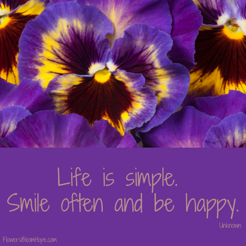 Life is simple. Smile often and be happy.