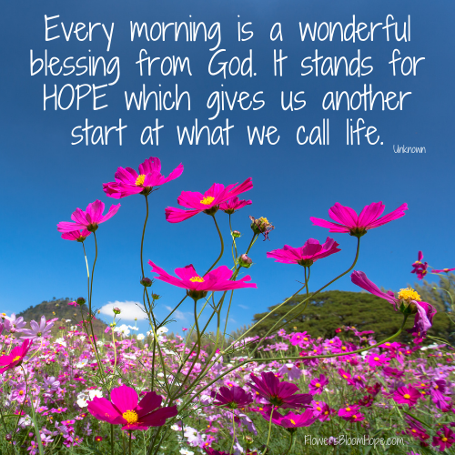 Every morning is a wonderful blessing from God. It stands for HOPE which gives us another start at what we call life.