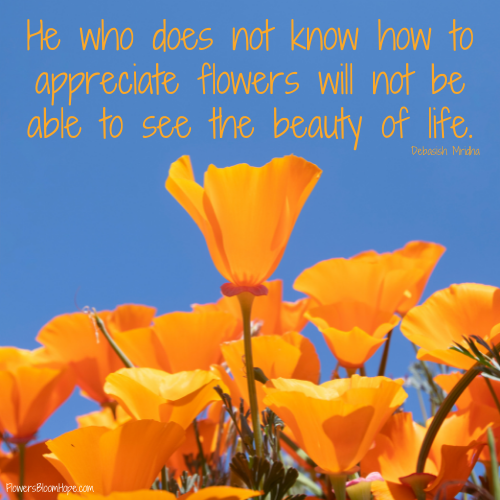 He who does not know how to appreciate flowers will not be able to see the beauty of life.