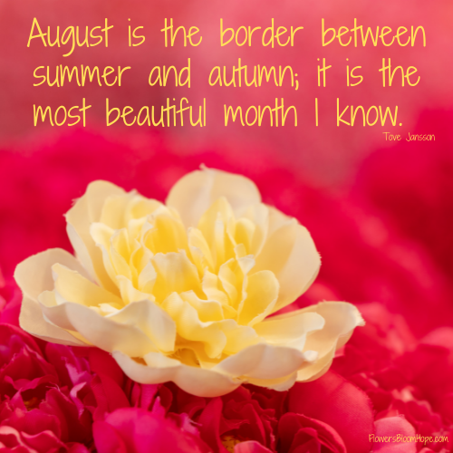 August is the border between summer and autumn; it is the most beautiful month I know.