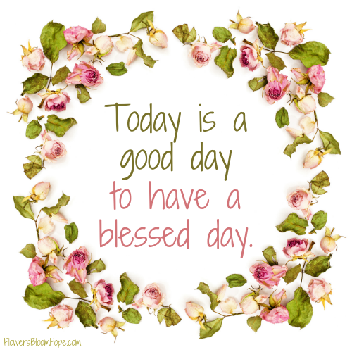 Today is a good day to have a blessed day.
