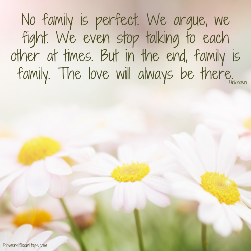 No family is perfect. We argue, we fight. We even stop talking to each other at times. But in the end, family is family. The love will always be there.