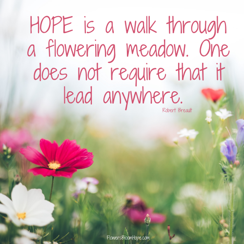 HOPE is a walk through a flowering meadow. One does not require that it lead anywhere.