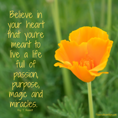 Believe in your heart that you're meant to live a life full of passion, purpose, magic and miracles.