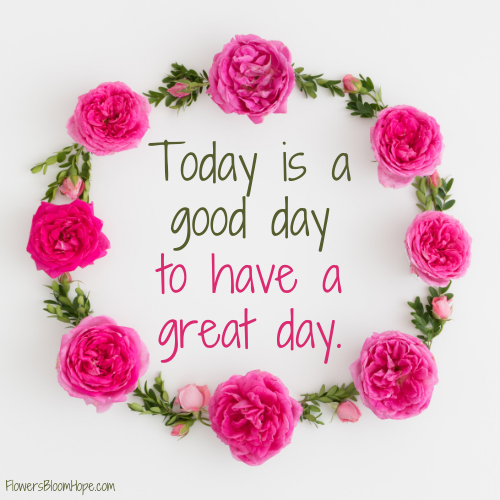 Today is a good day to have a great day.