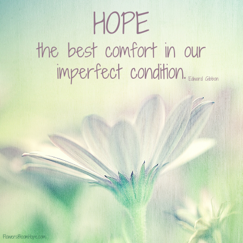 HOPE, the best comfort of our imperfect condition.