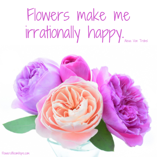 Flowers make me irrationally happy.