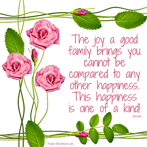 The joy a good family brings you cannot be compared to any other happiness. This happiness is one of a kind!
