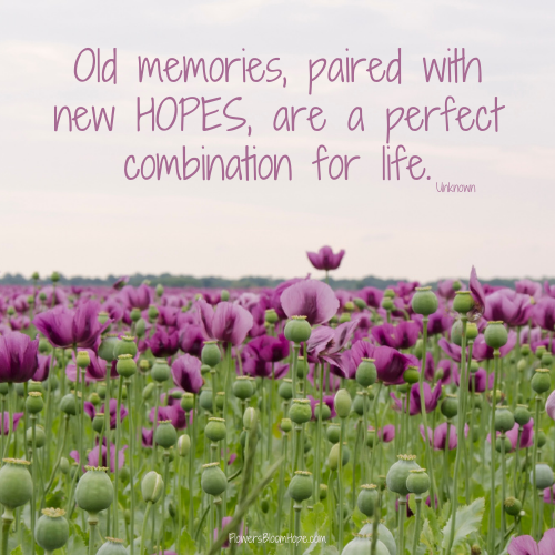 Old memories, paired with new HOPES, are a perfect combination.