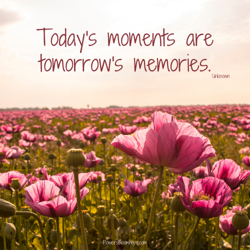 oday’s moments are tomorrow’s memories.