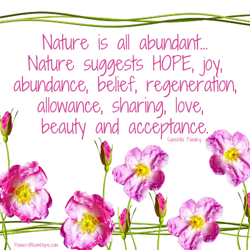 Nature is all abundant...Nature suggests HOPE, joy, abundance, belief, regeneration, allowance, sharing, love, beauty and acceptance.