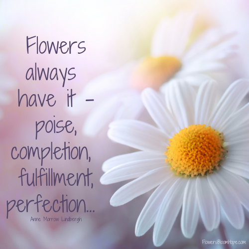 Flowers always have it - poise, completion, fulfillment, perfection . . .