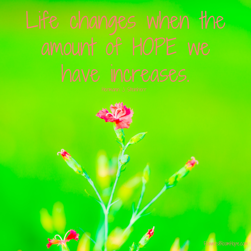 Life changes when the amount of HOPE we have increases.