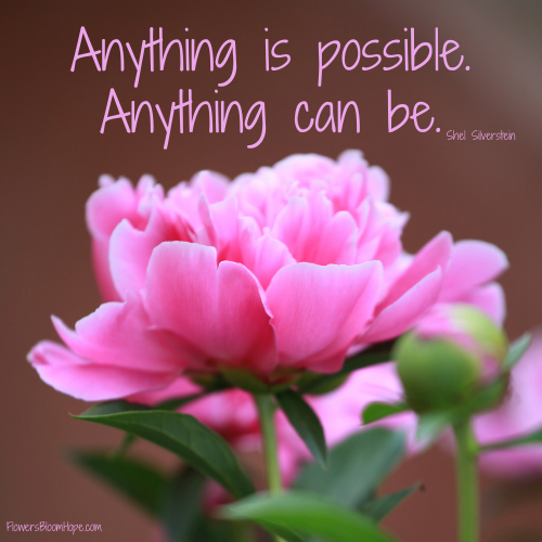 Anything is possible. Anything can be.