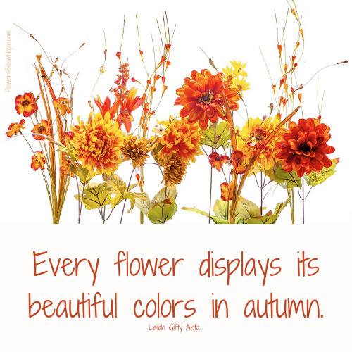 Every flower displays its beautiful colors in autumn.