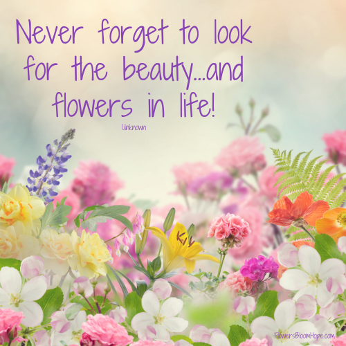 Never forget to look for the beauty … and flowers in life!