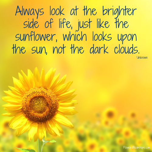 Always look at the brighter side of life, just like the sunflower, which looks upon the sun, not the dark clouds