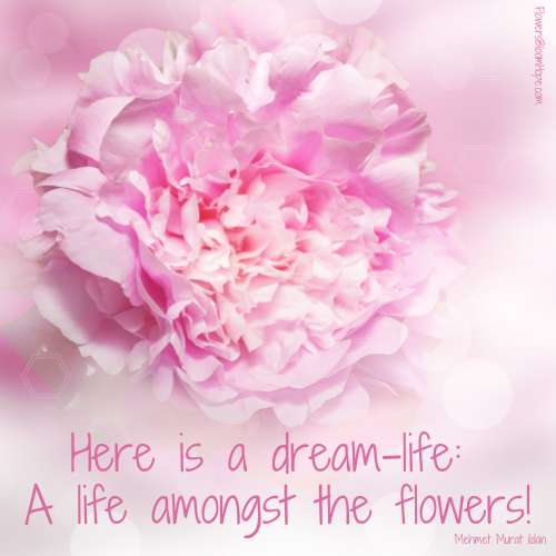 Here is a dream-life: A life amongst the flowers!