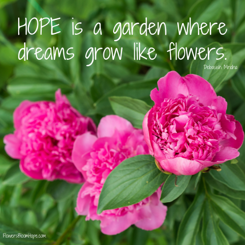 HOPE is a garden where dreams grow like flowers