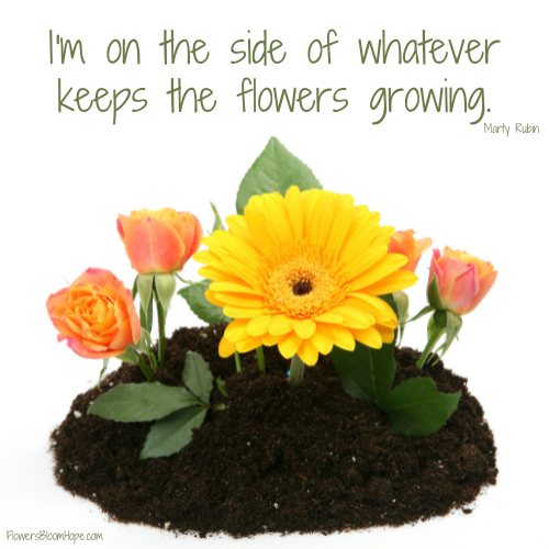 I'm on the side of whatever keeps the flowers growing