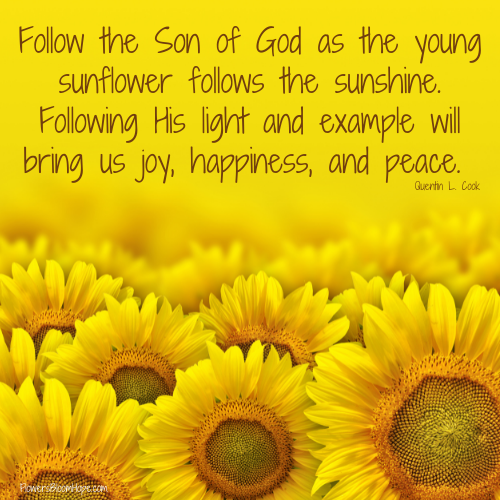 Follow the Son of God as the young sunflower follows the sunshine. Following His light and example will bring us joy, happiness, and peace.
